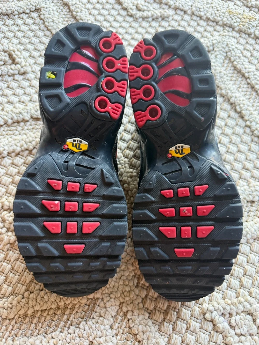 Nike air Max plus Tn unisex